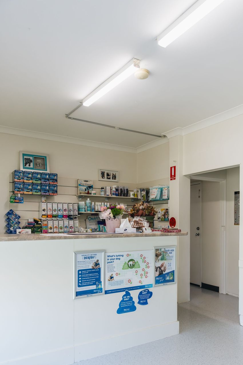 A white counter in a veterinary clinic with posters on the wall.