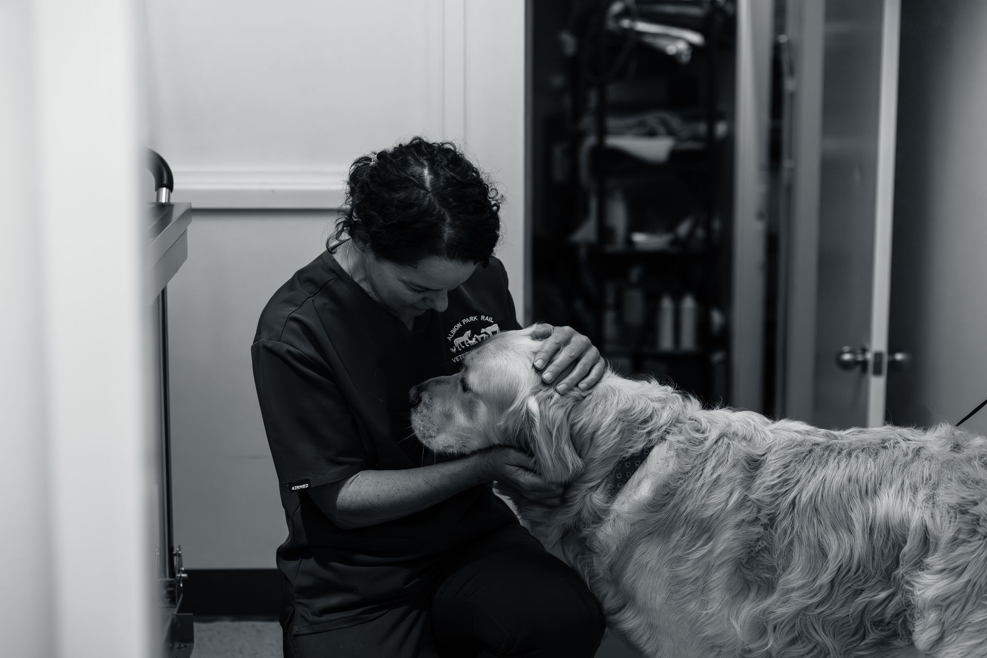 A woman is petting a dog in a black and white photo.