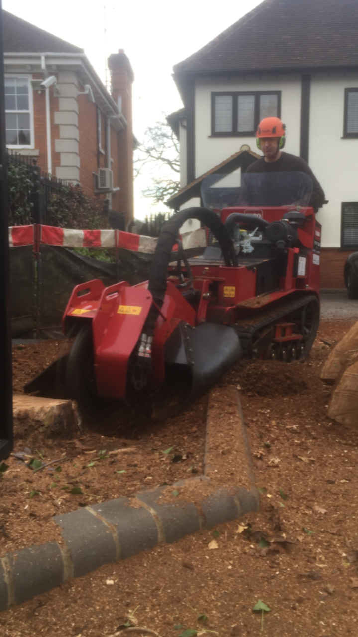 Stump grinding image