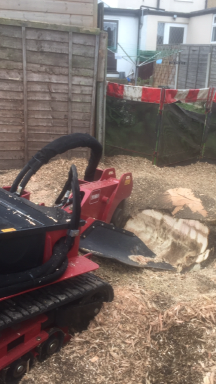 Stump grinding image