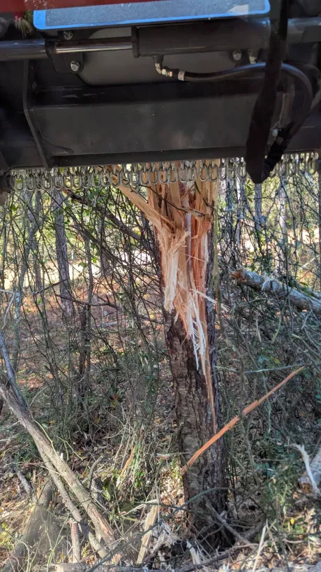 Blue vehicle stuck against a tree in a wooded area, with bark stripped from the trunk