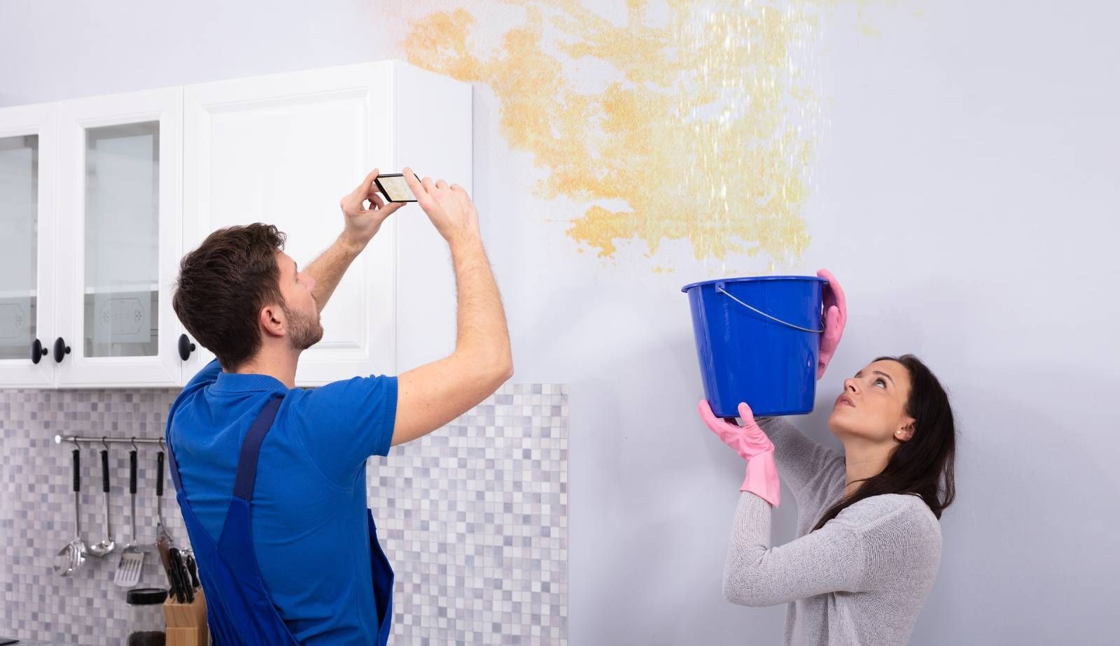 Close-up of mold spreading on a damp wall in a Louisiana home.