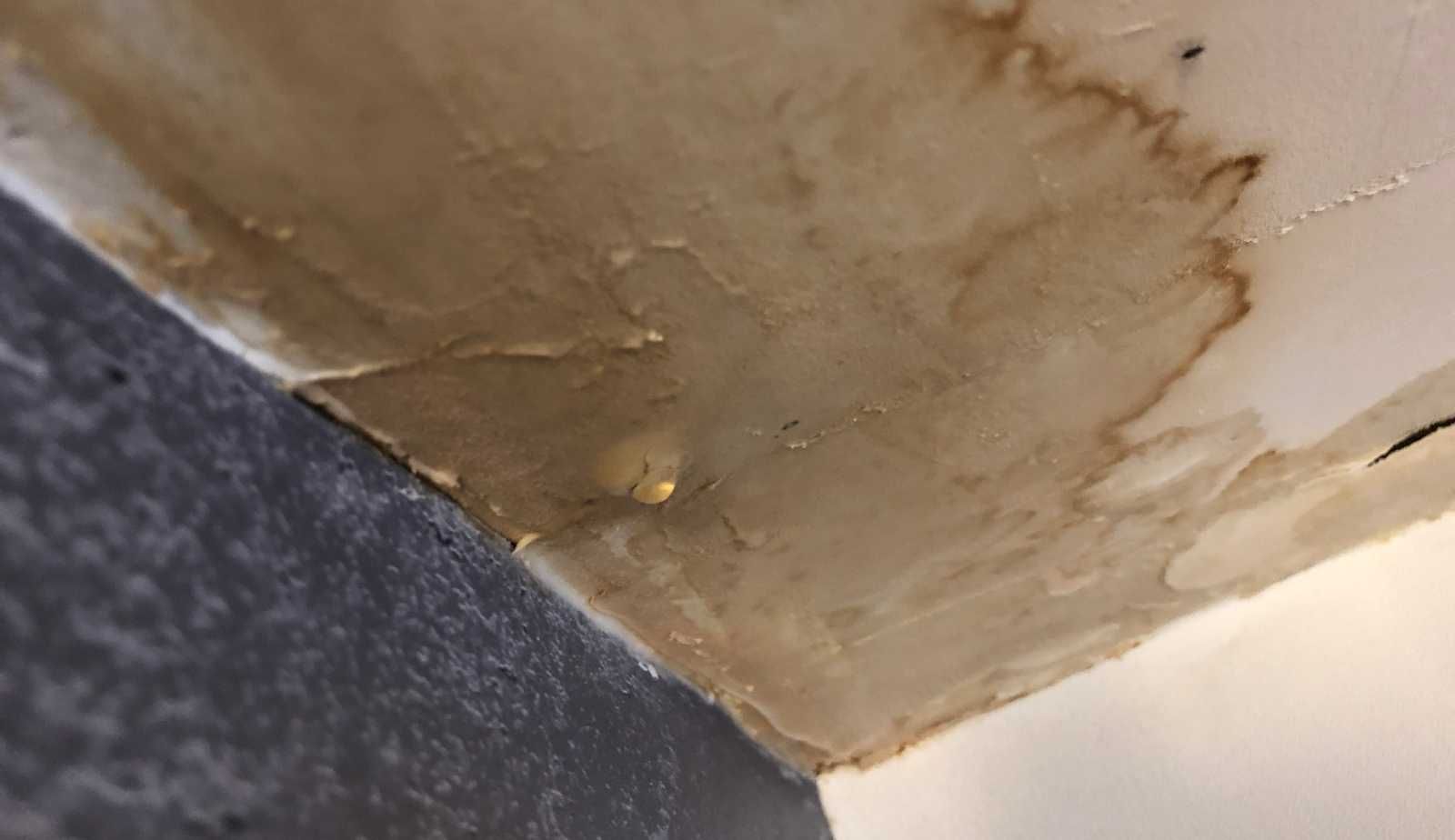 After the initial steps of mitigating the damage caused by water, homeowners must focus on long-term repairs and restoration