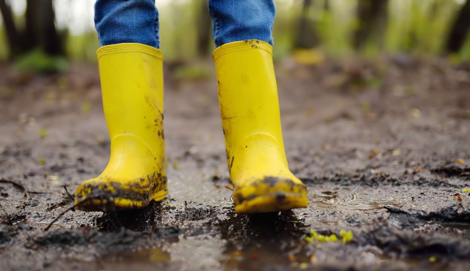 A child wearing yellow rain boots is standing in a muddy puddle.