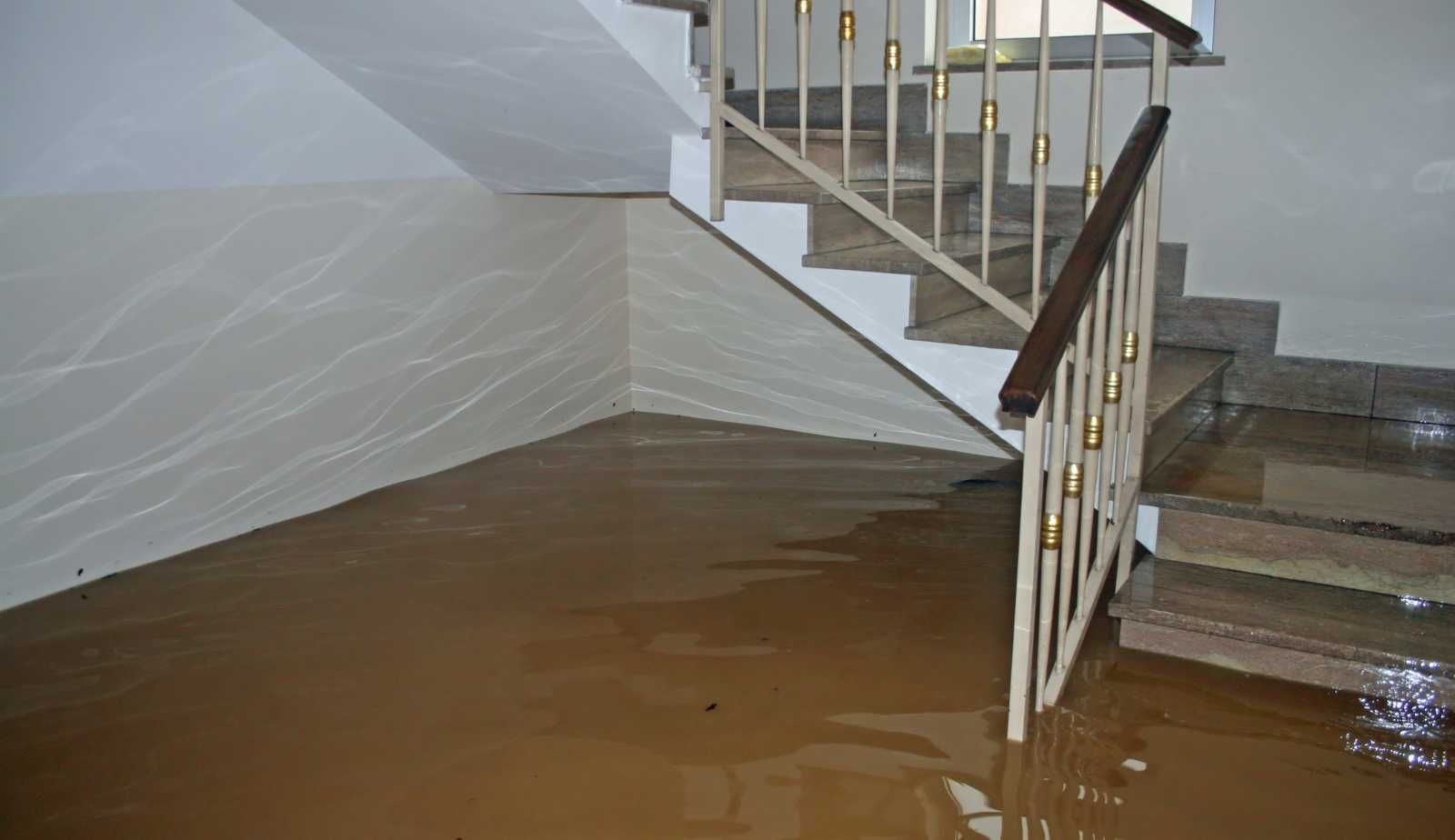 Water damage can have a significant impact on indoor air quality in Louisiana