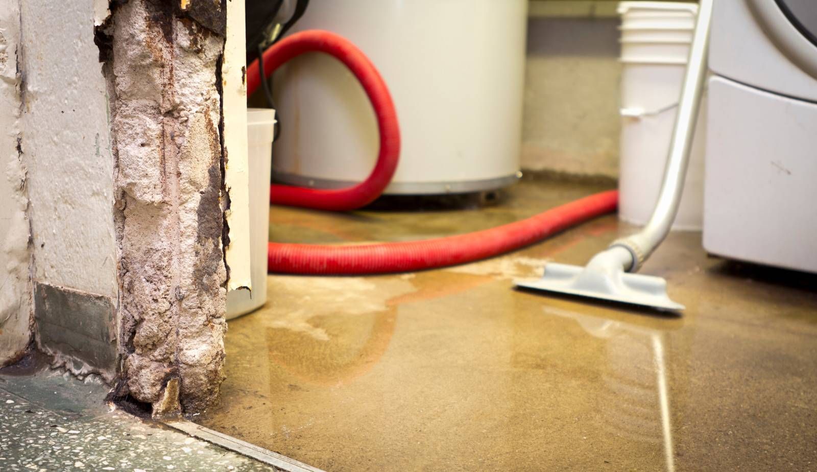 Various tools and supplies laid out for DIY water damage restoration, including gloves, buckets, dehumidifiers, and fans.