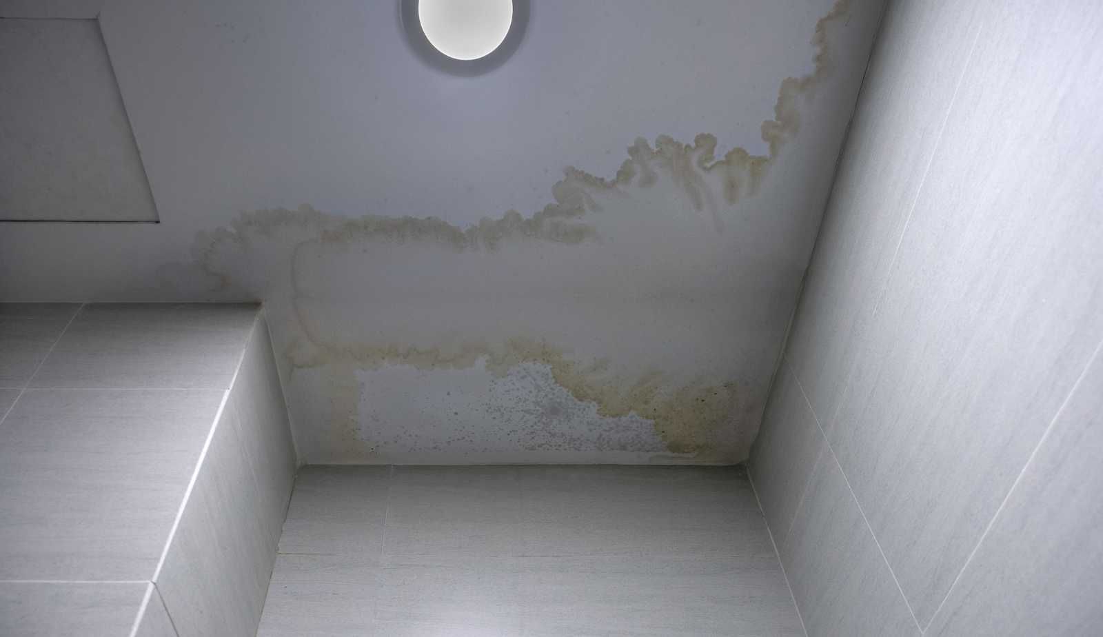 A bathroom with a ceiling that has water stains on it.