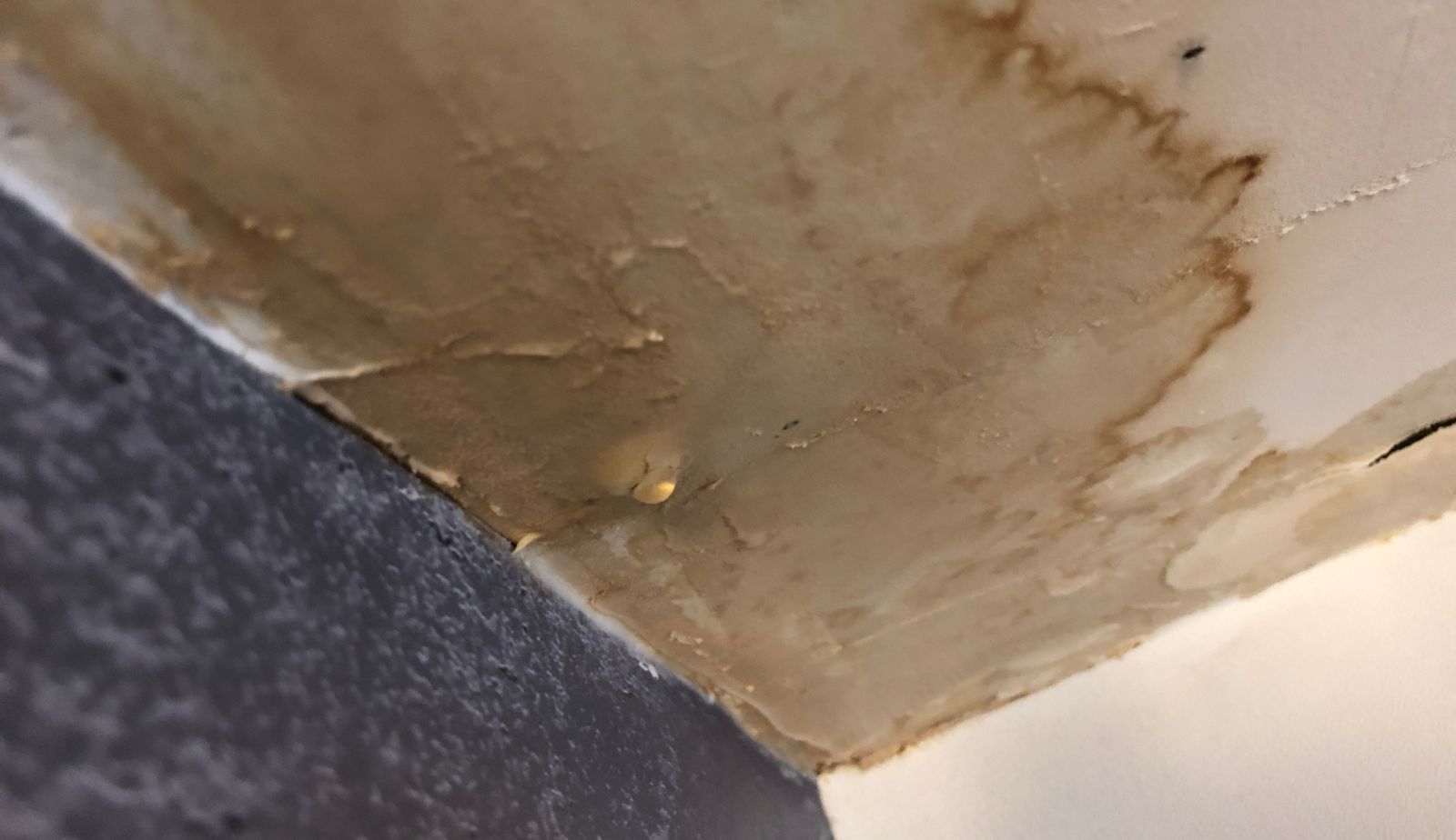 water damage claims in louisiana
