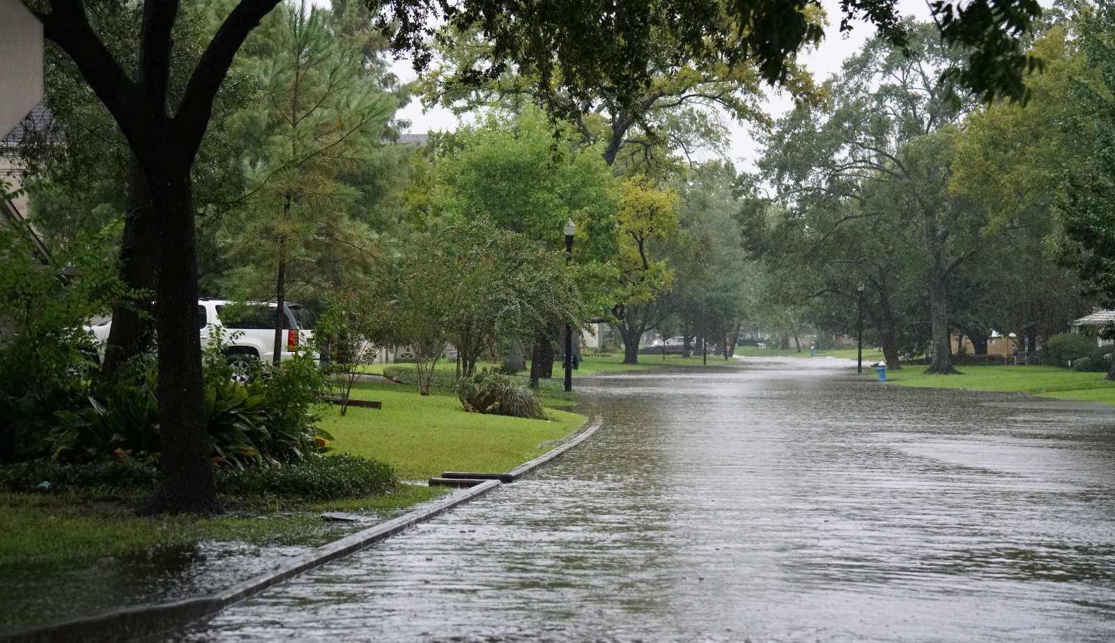 A business that sustained fire and water damage in Louisiana