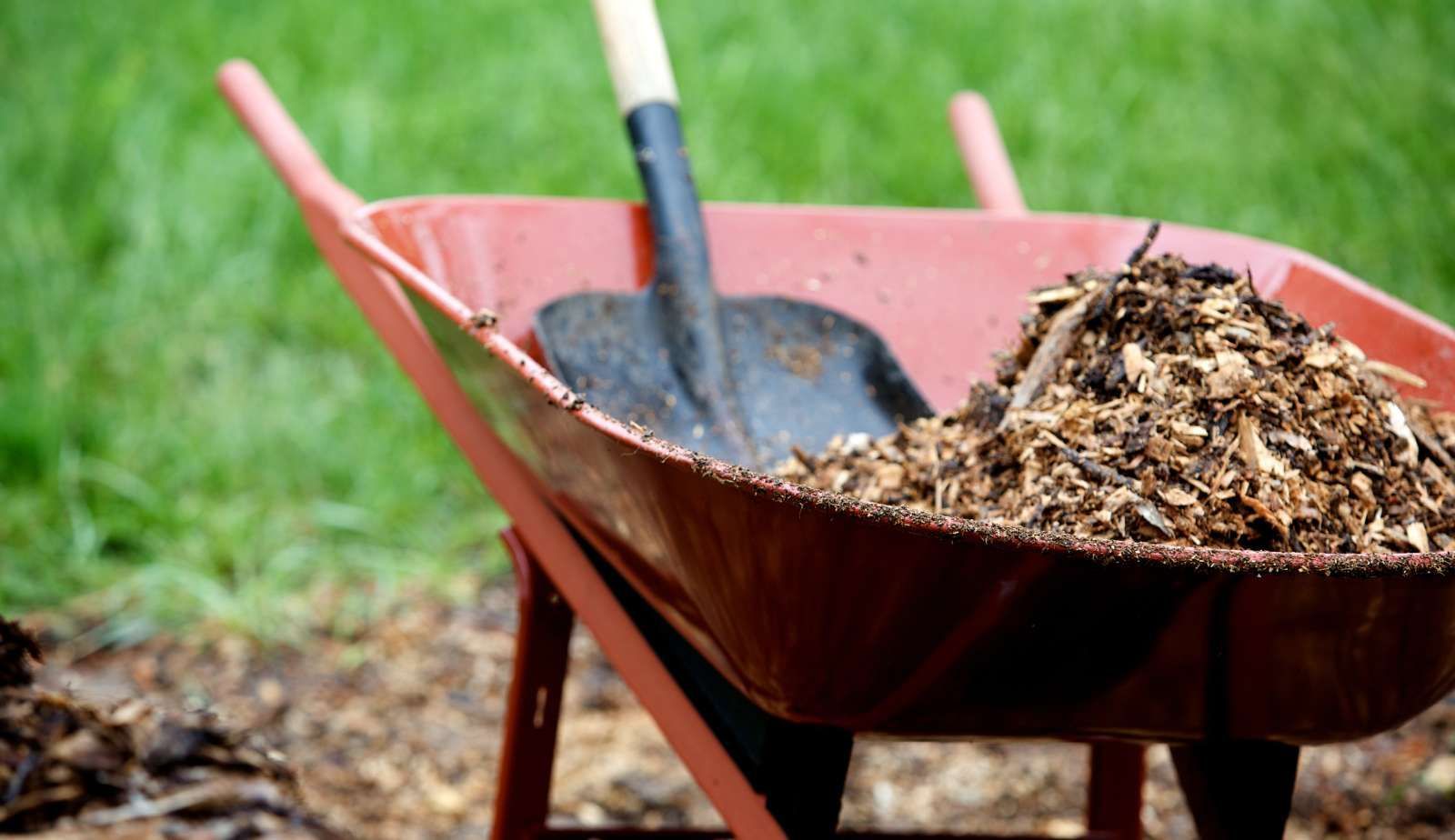 water damage prevention through landscaping in louisiana