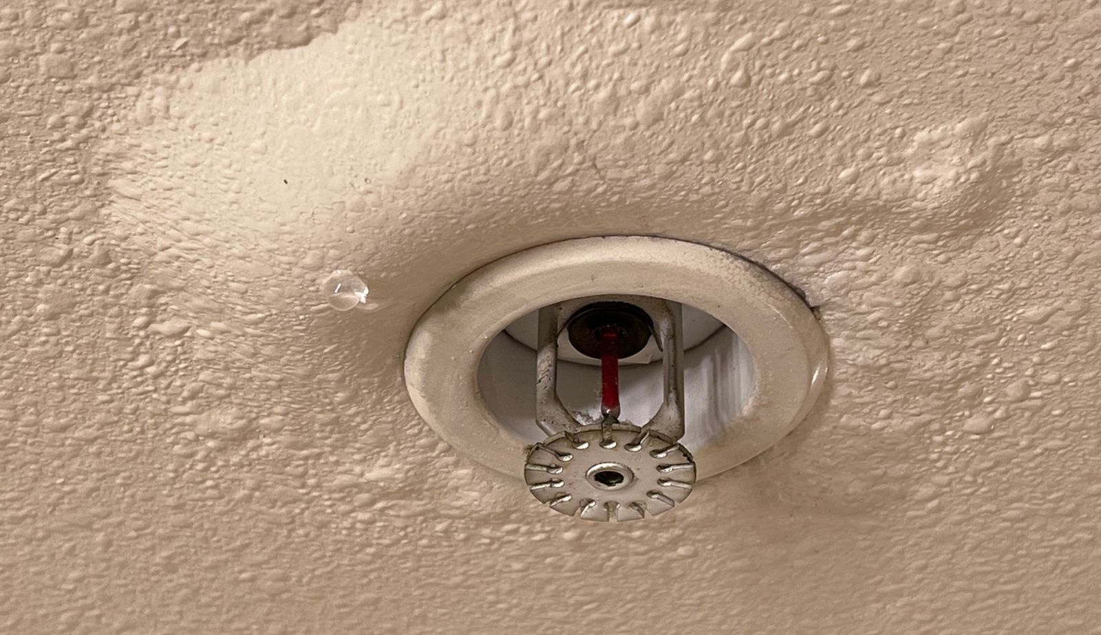 A fire sprinkler is hanging from the ceiling of a building.