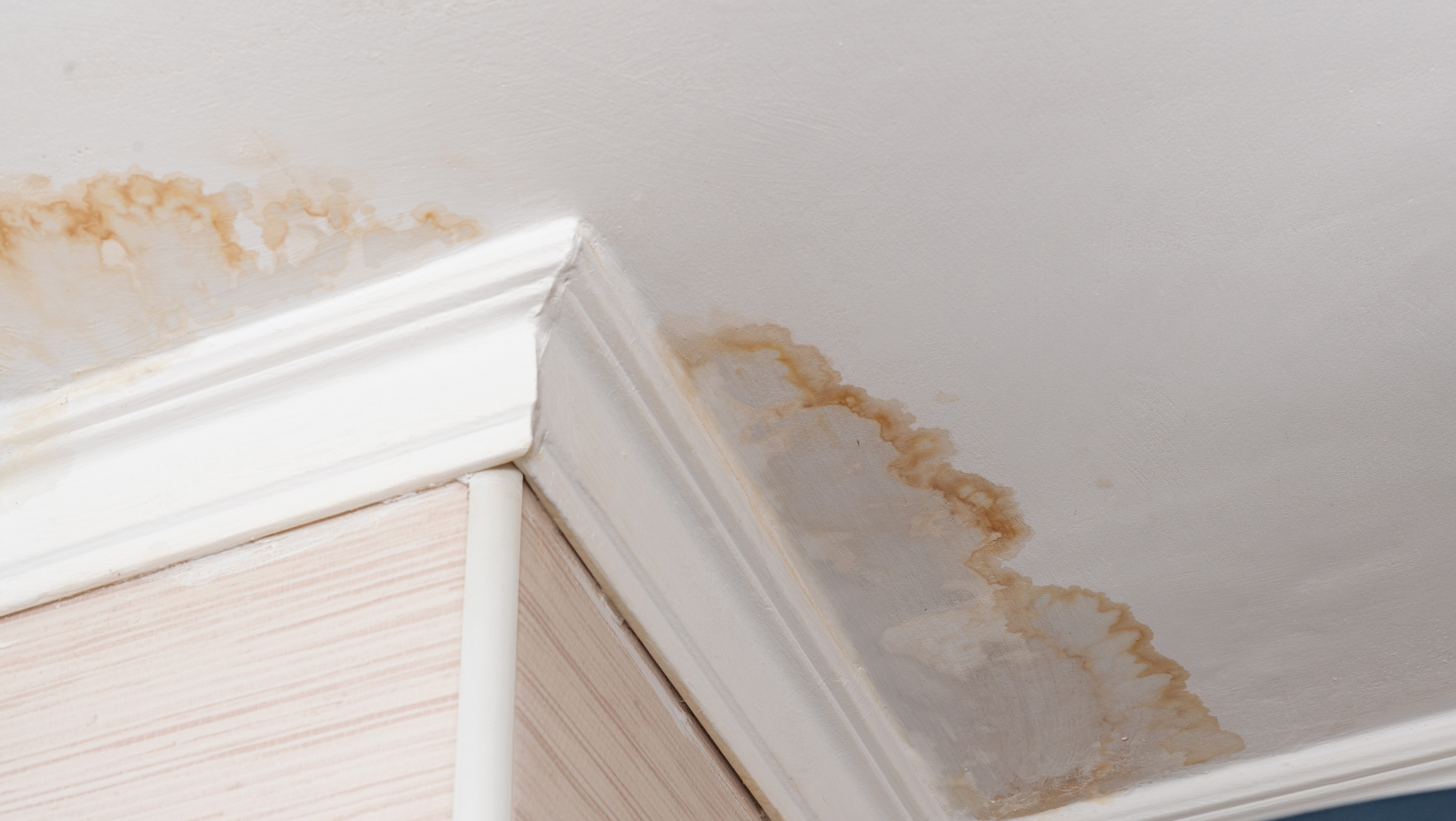 Steps to Remove Smoke Odors After a Fire