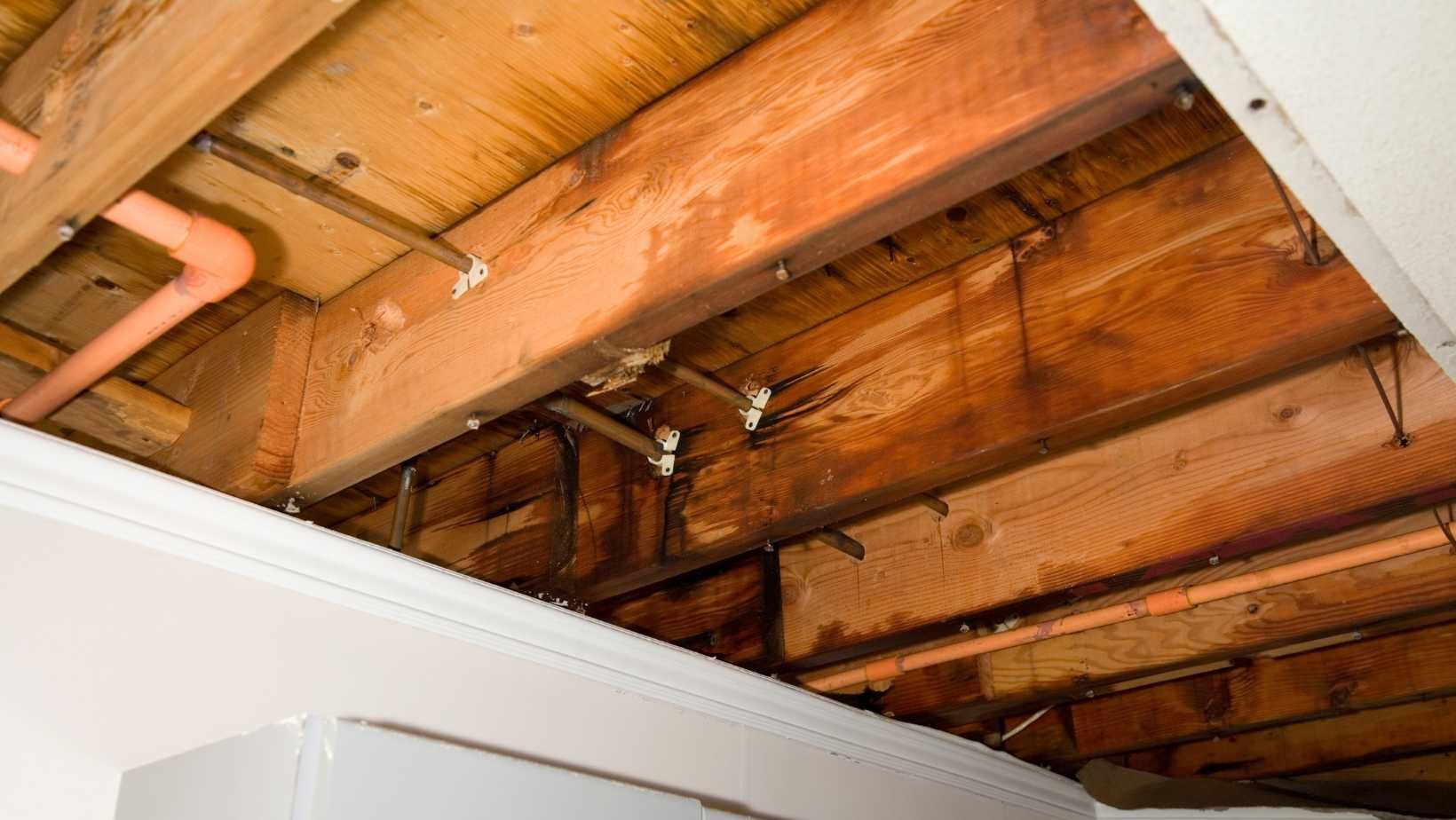 Navigating Water Damage Restoration in Louisiana A Comprehensive Guide