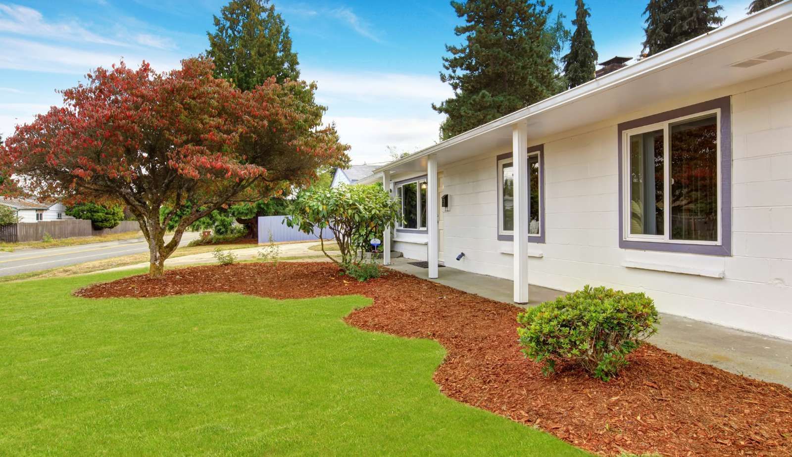 A white house with a lush green lawn and a tree in front of it.