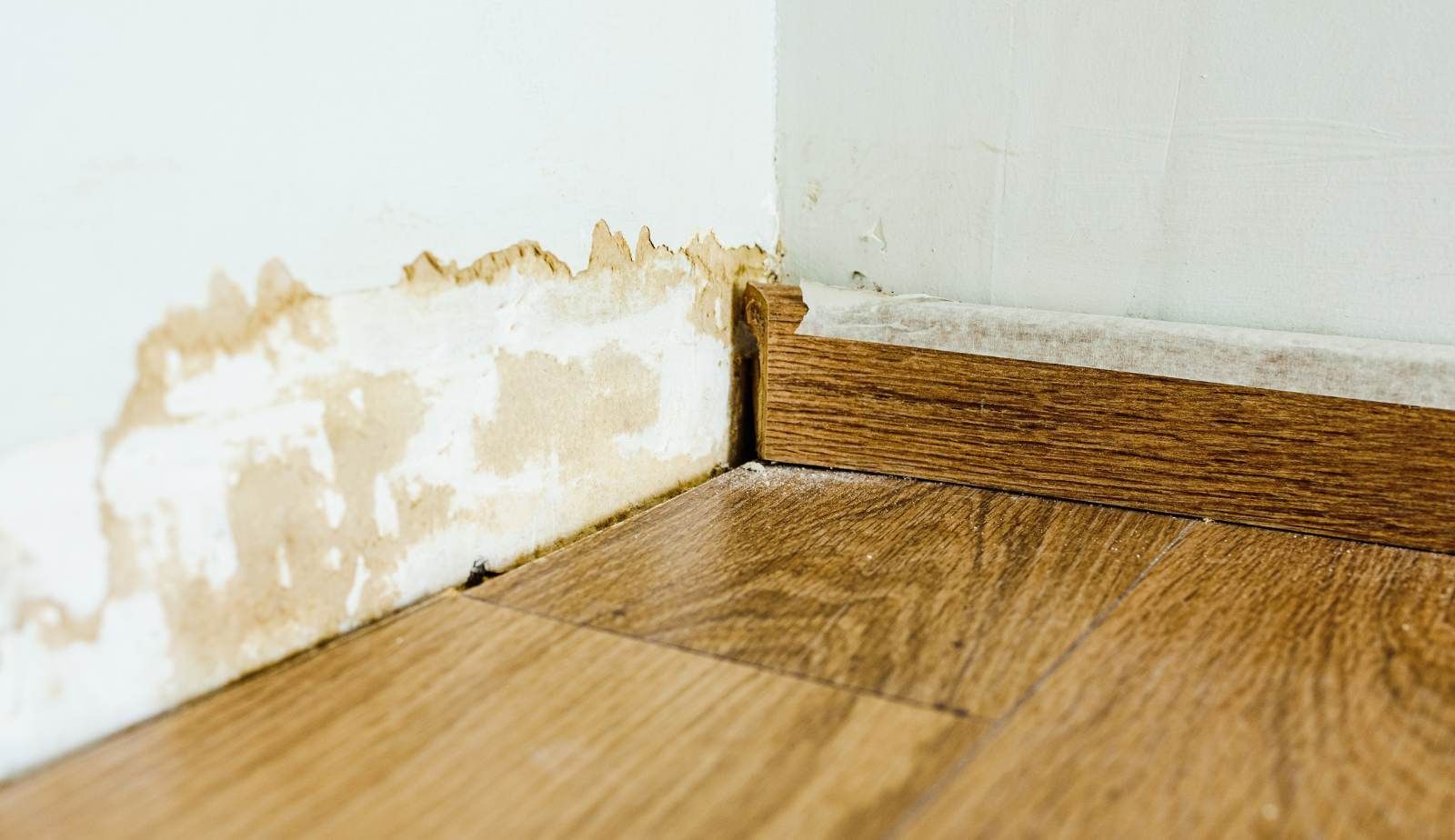 Wet insulation and subfloor trapped behind cabinets in New Orleans—high mold risk without proper tear-out.