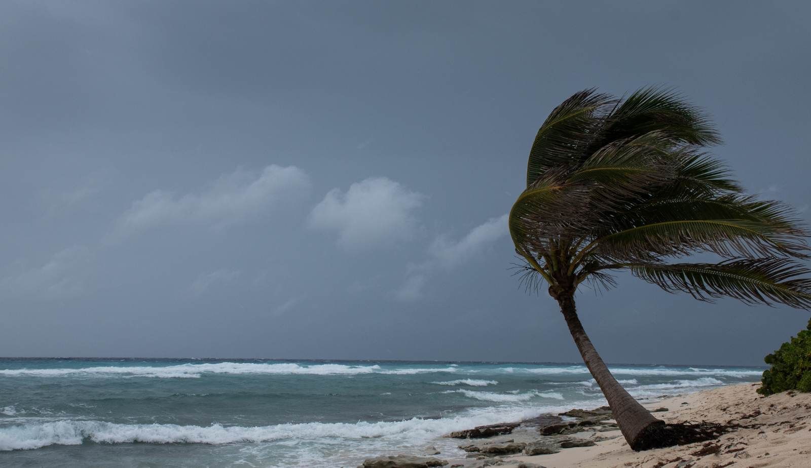 Drymax hurricane prep checklist for New Orleans, LA homeowners—roof, gutters, and drainage.