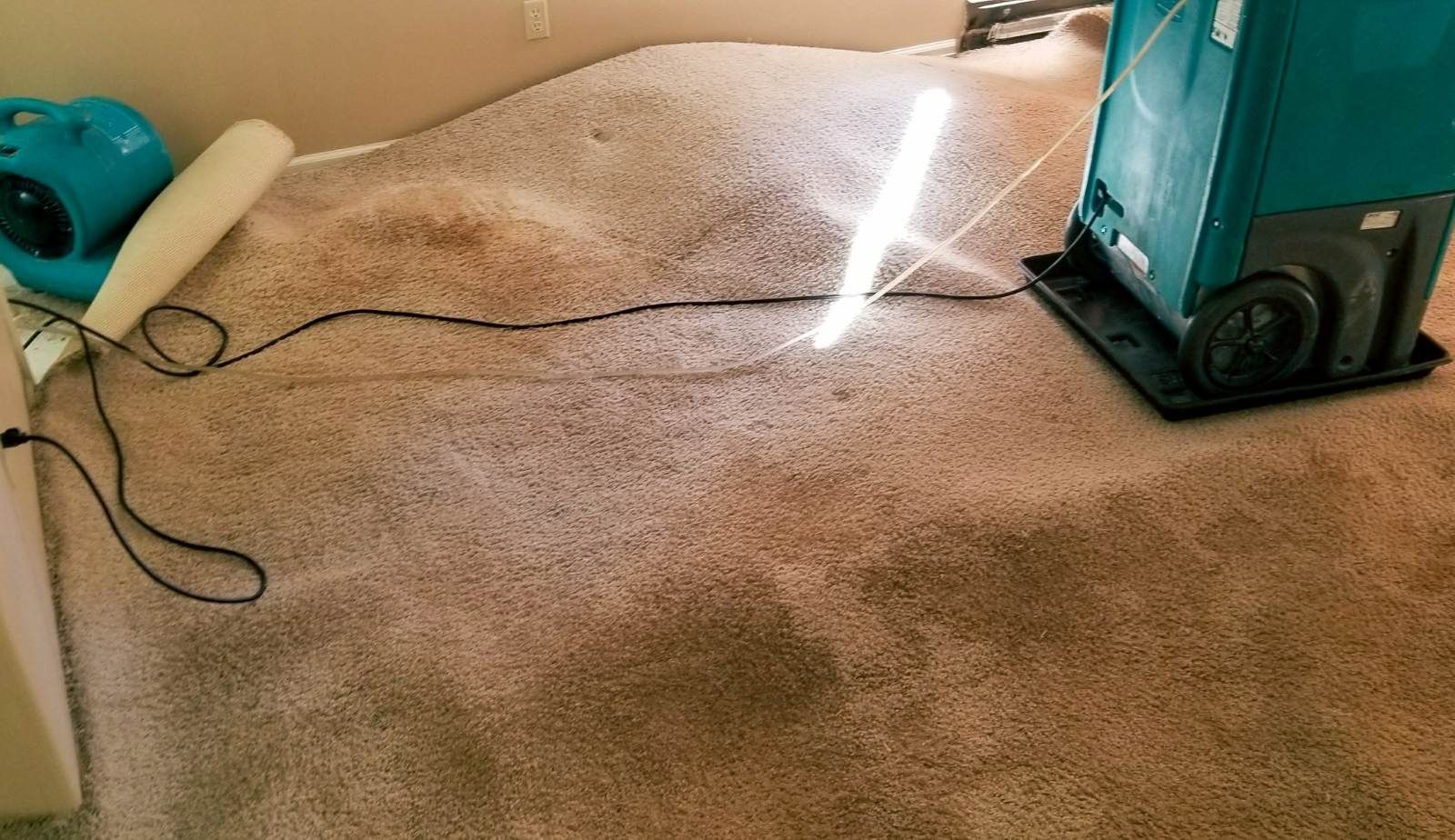 Curled and buckling hardwood planks along a hallway floor in a Lafayette home, illustrating how unseen moisture beneath the slab can warp flooring.