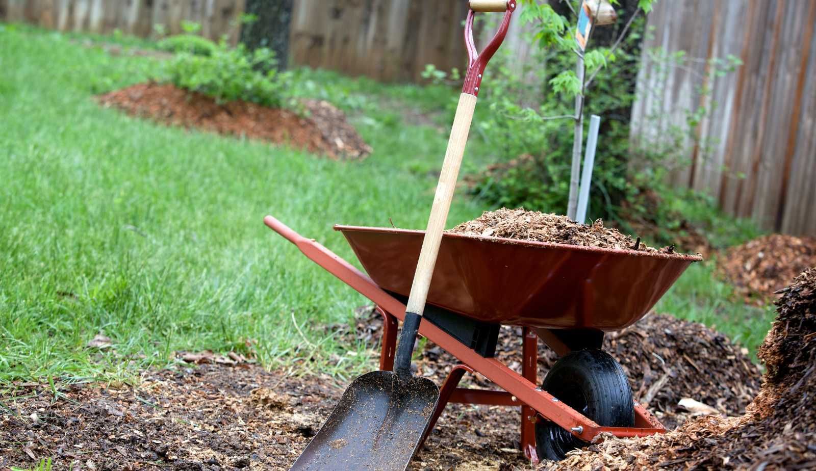 Homeowners in Louisiana can use preventative landscaping techniques to reduce the likelihood of water damage to their homes