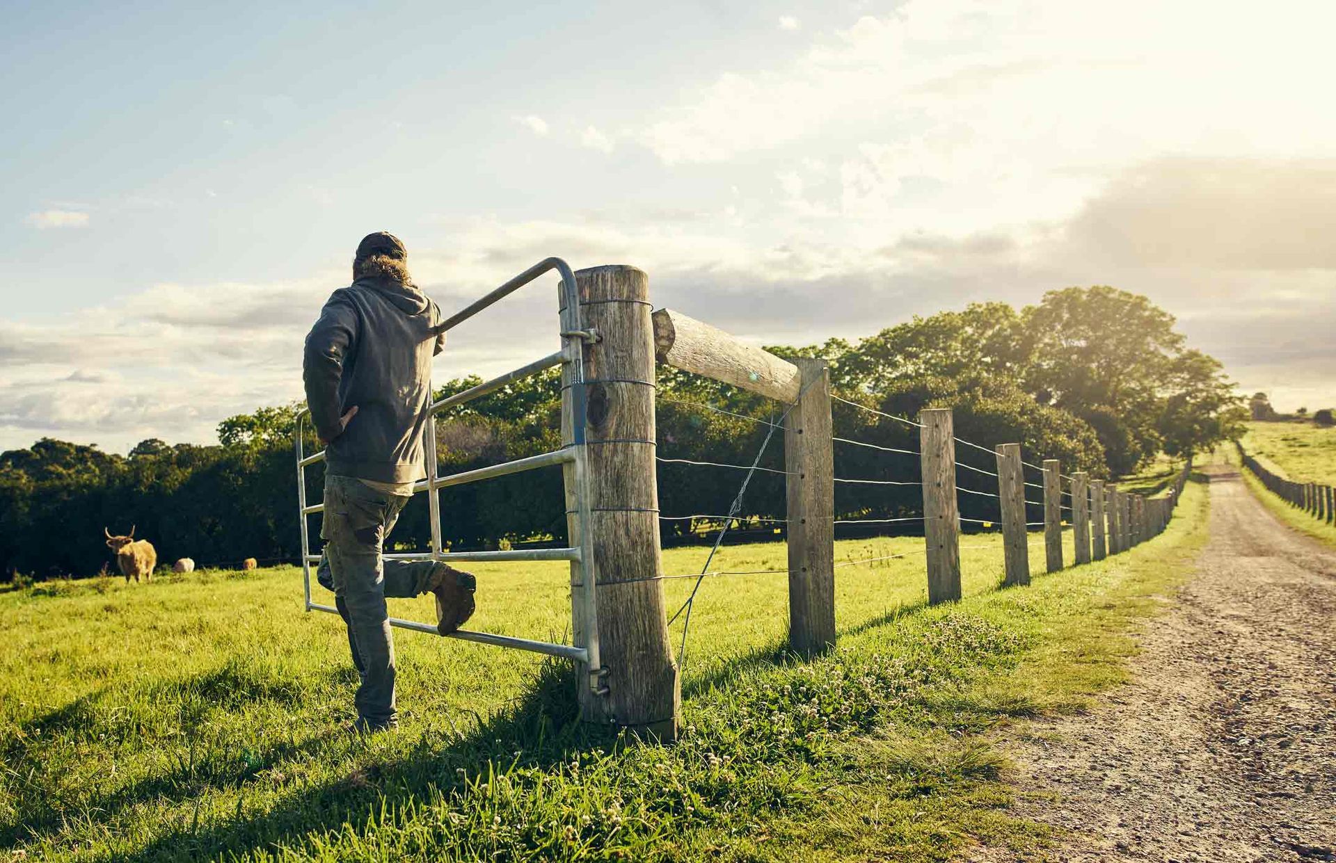 A Man Is Standing Next to A Wooden Fence in A Field | Cranbourne, VIC | Cranbourne Fencing Pty Ltd