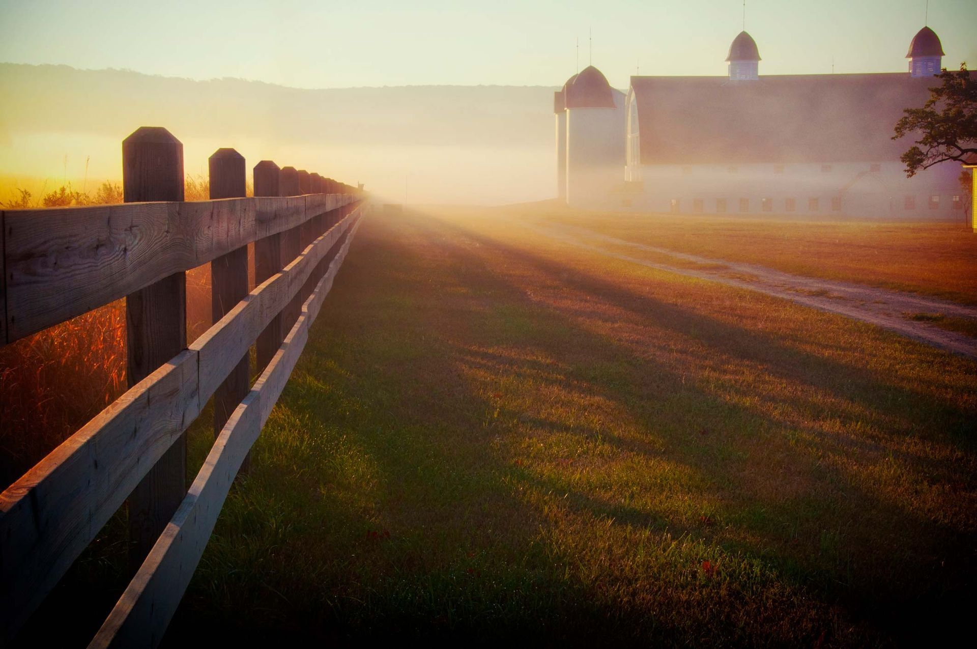 The Sun Is Shining Through the Fog Behind a Wooden Fence | Cranbourne, VIC | Cranbourne Fencing Pty Ltd