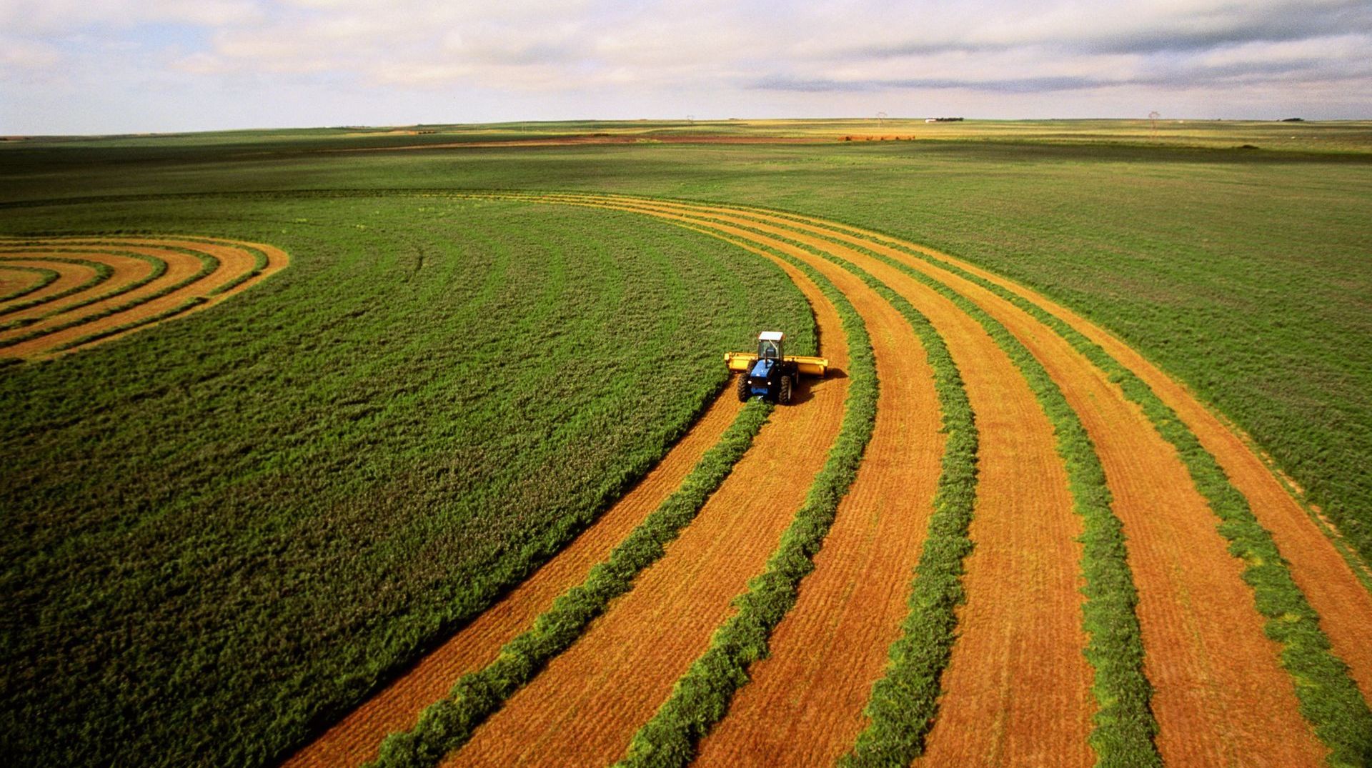 Una vista aerea di un trattore che ara un campo coltivato.