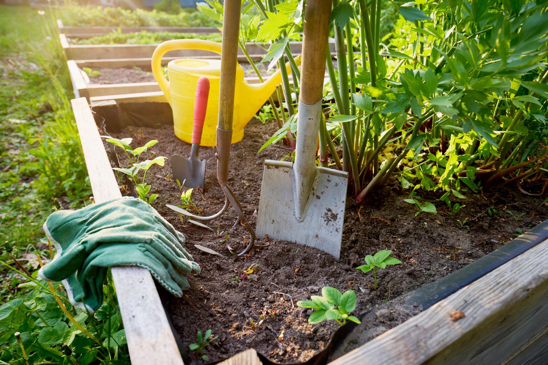 Attrezzature e Utensili