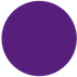 A solid purple circle.