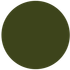 Dark olive green circle.