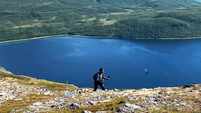 Treeking Swedish mountain