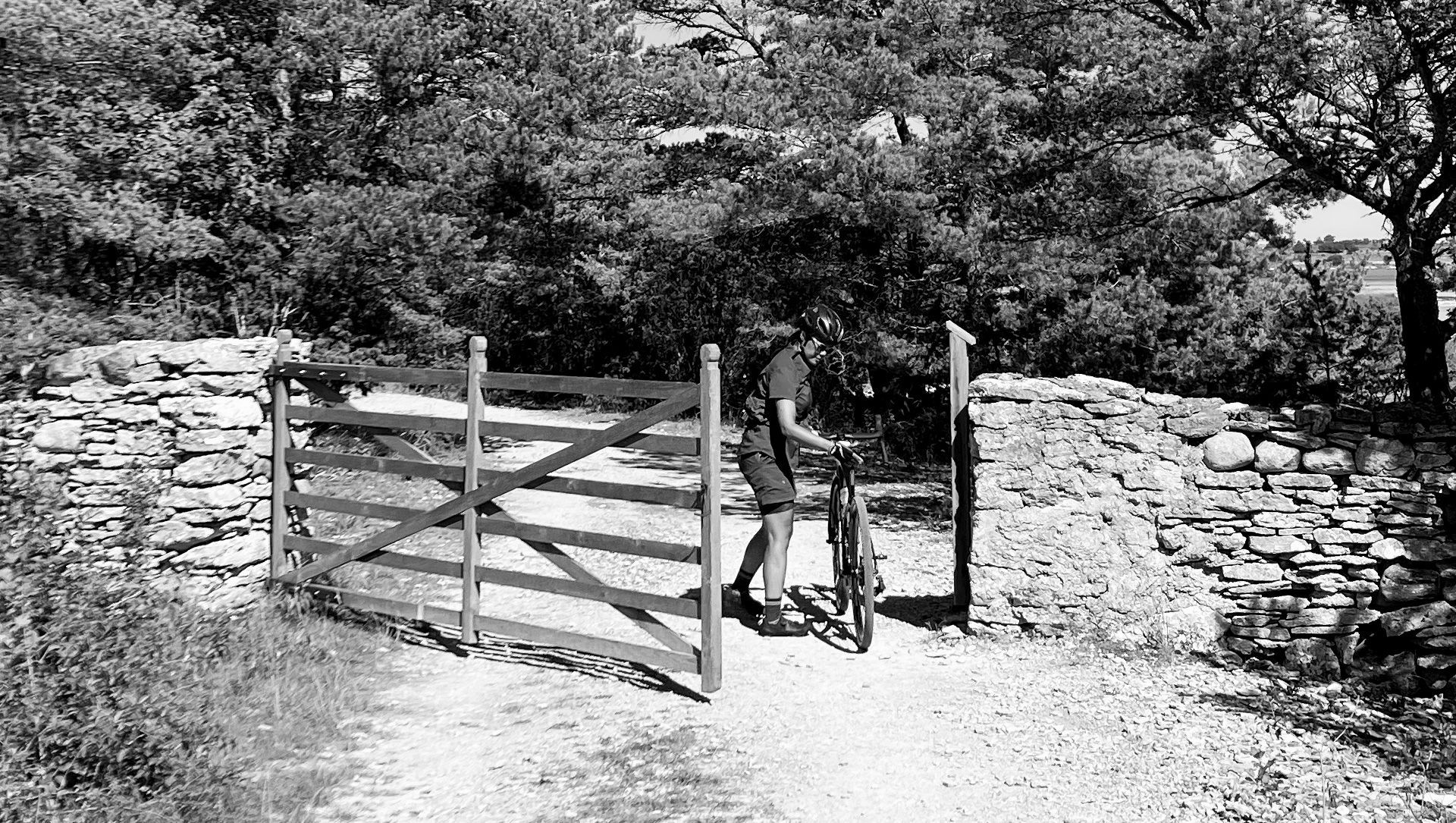 Gravel biking on Gotlans