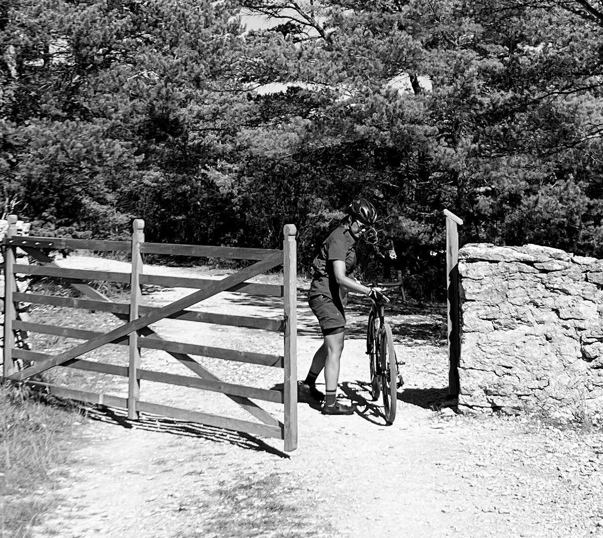 Gravel biking on Gotland