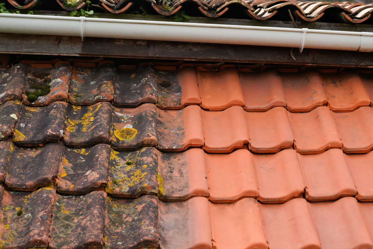 A Close Up of a Tiled Roof Before and After Being Cleaned — Stormguard Roofing In Caloundra West, QLD
