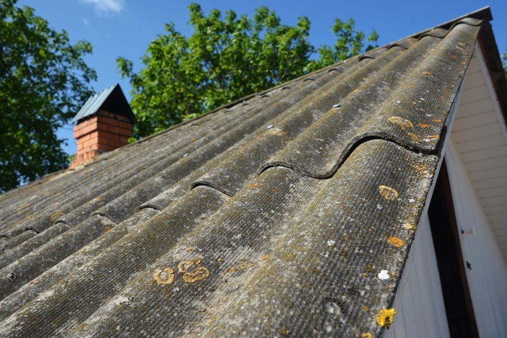 A Close Up of a Roof With a Chimney and Trees in the Background— Stormguard Roofing In Caboolture, QLD