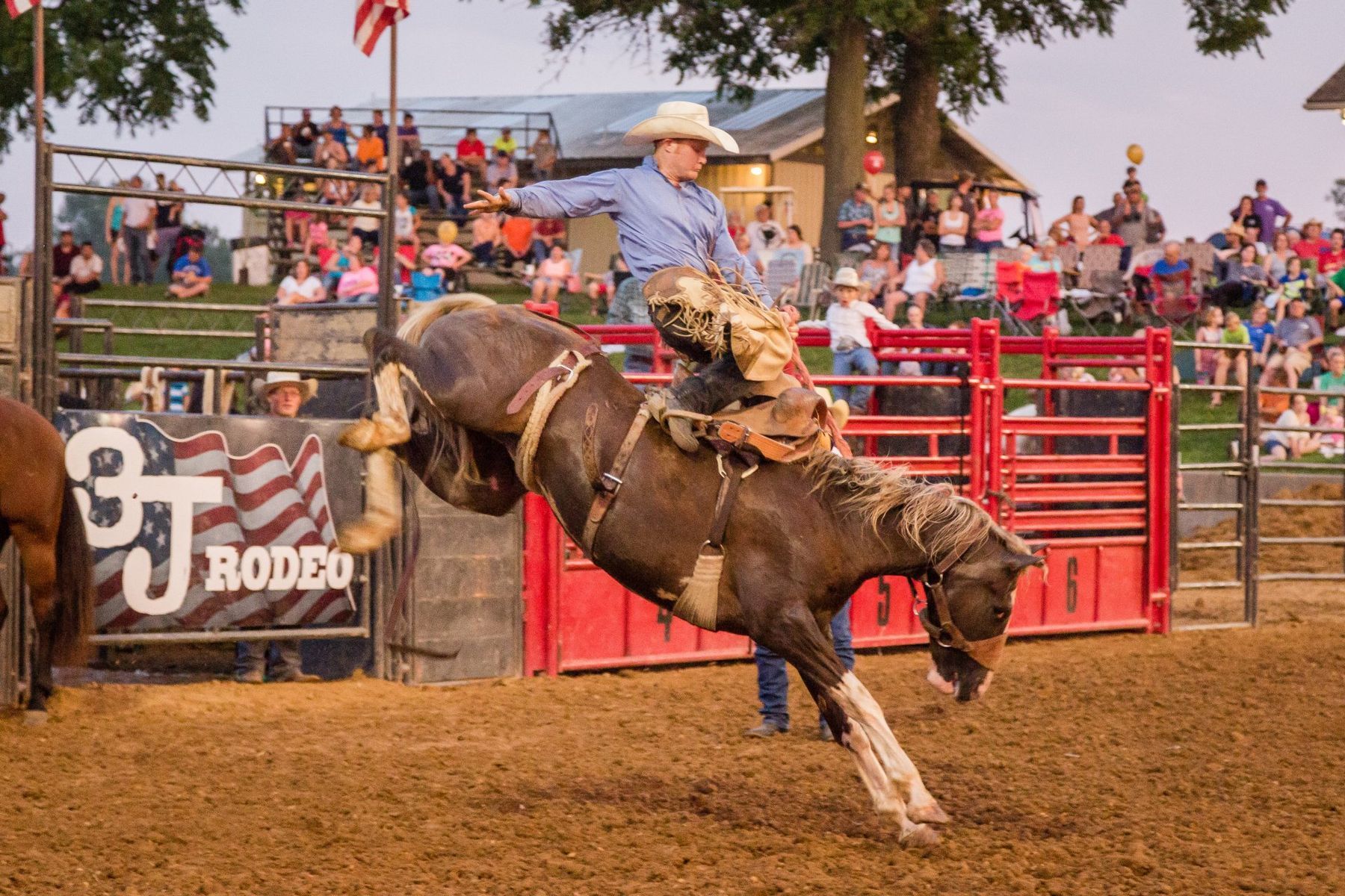 Bull rider on a bucking horse at a rodeo arena with spectators behind the fence