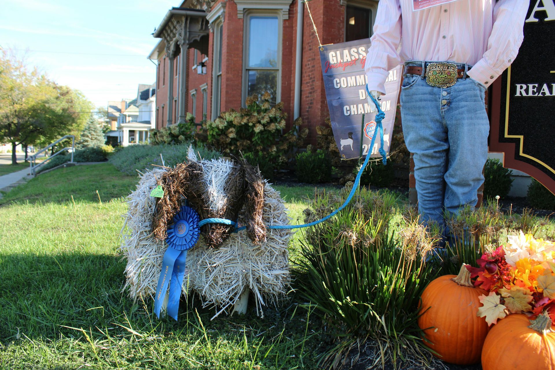 Fall scarecrow display on a lawn with pumpkins beside a brick building