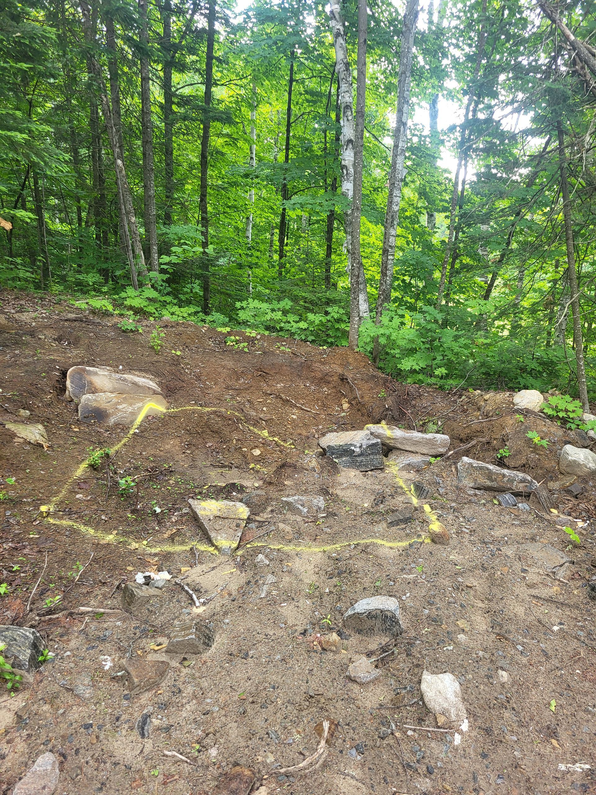 Un tas de terre et de rochers au milieu d'une forêt.