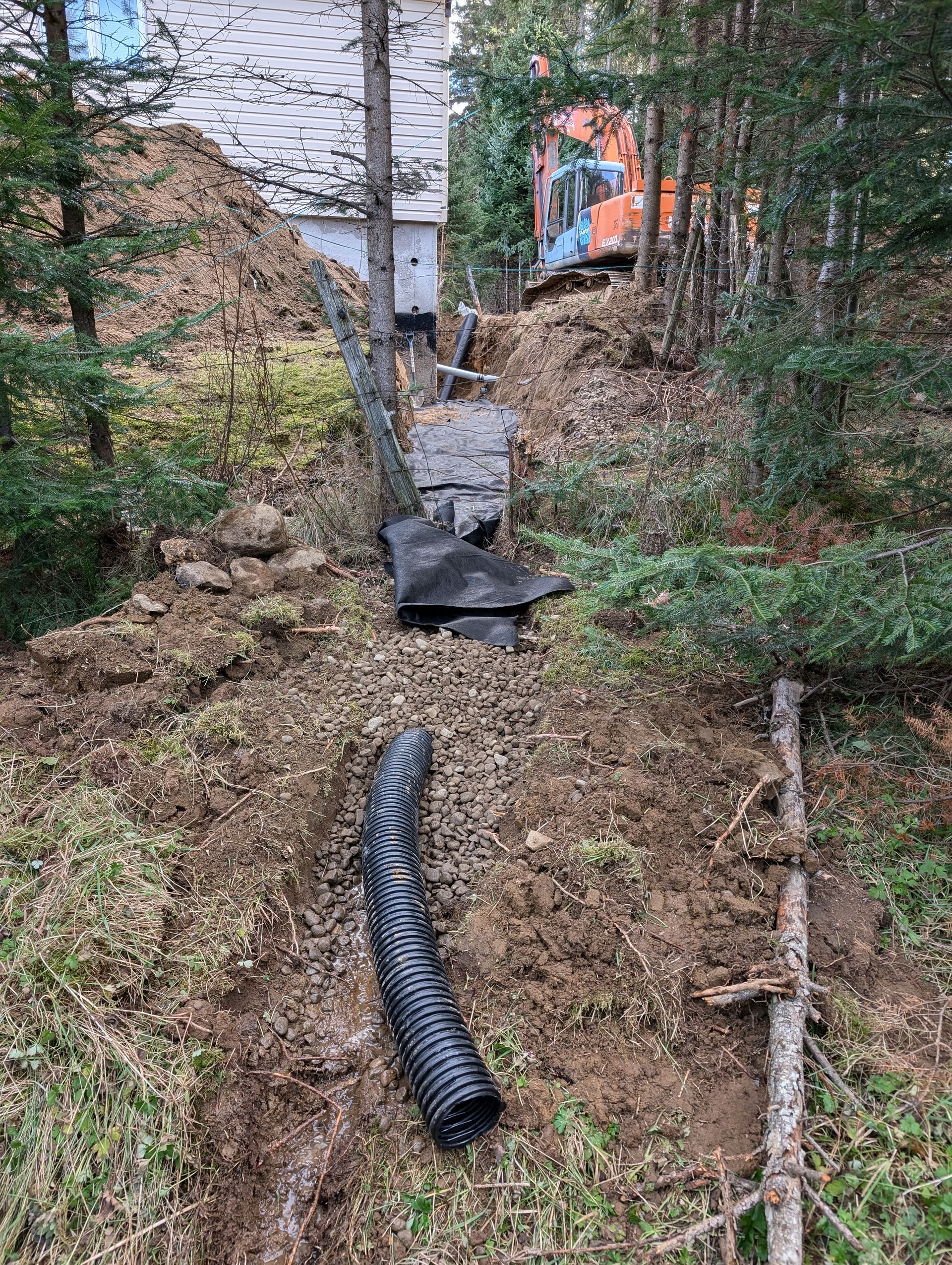 Un gros tuyau est posé au sommet d'une colline de terre dans les bois.