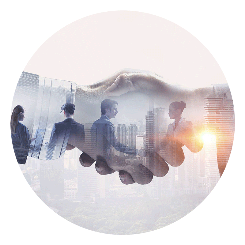 due mani che si stringono