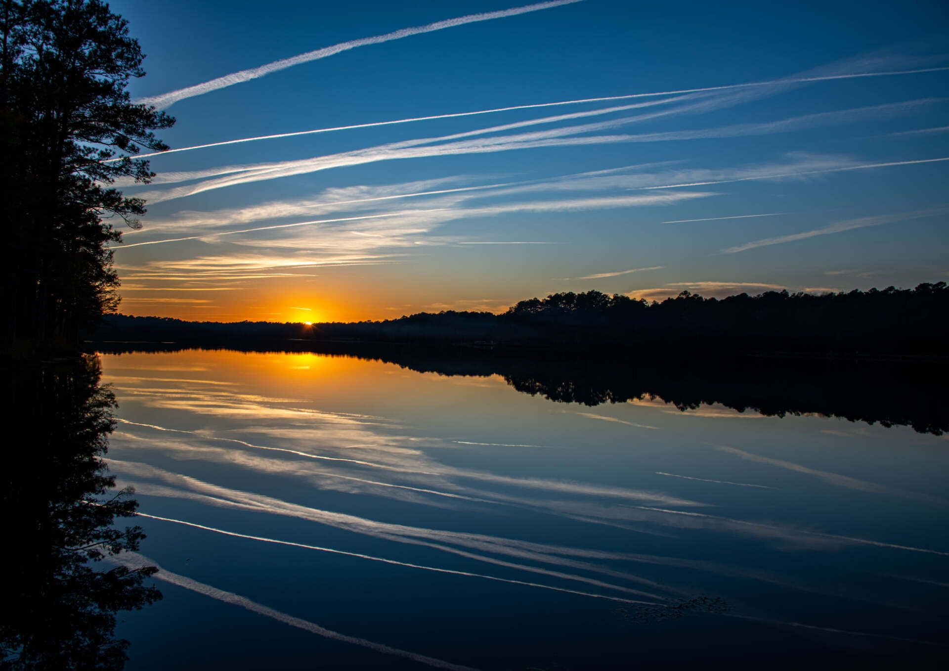 Compassion, Dignity & Respect