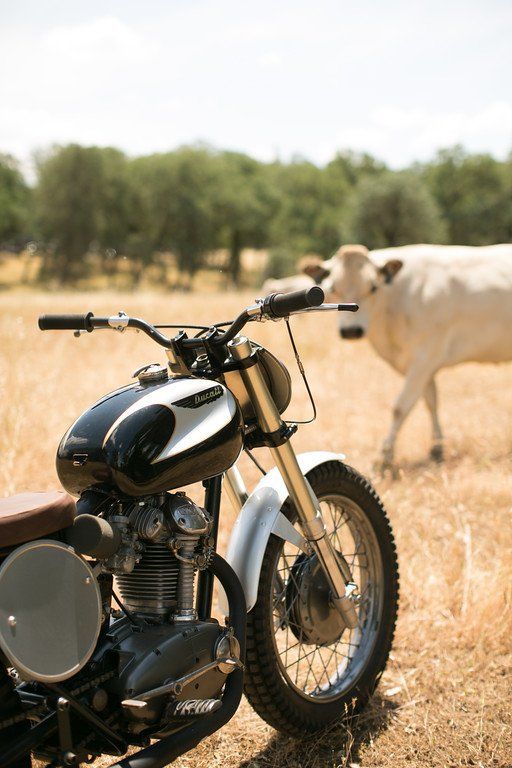 image for motorcycle repair Shasta