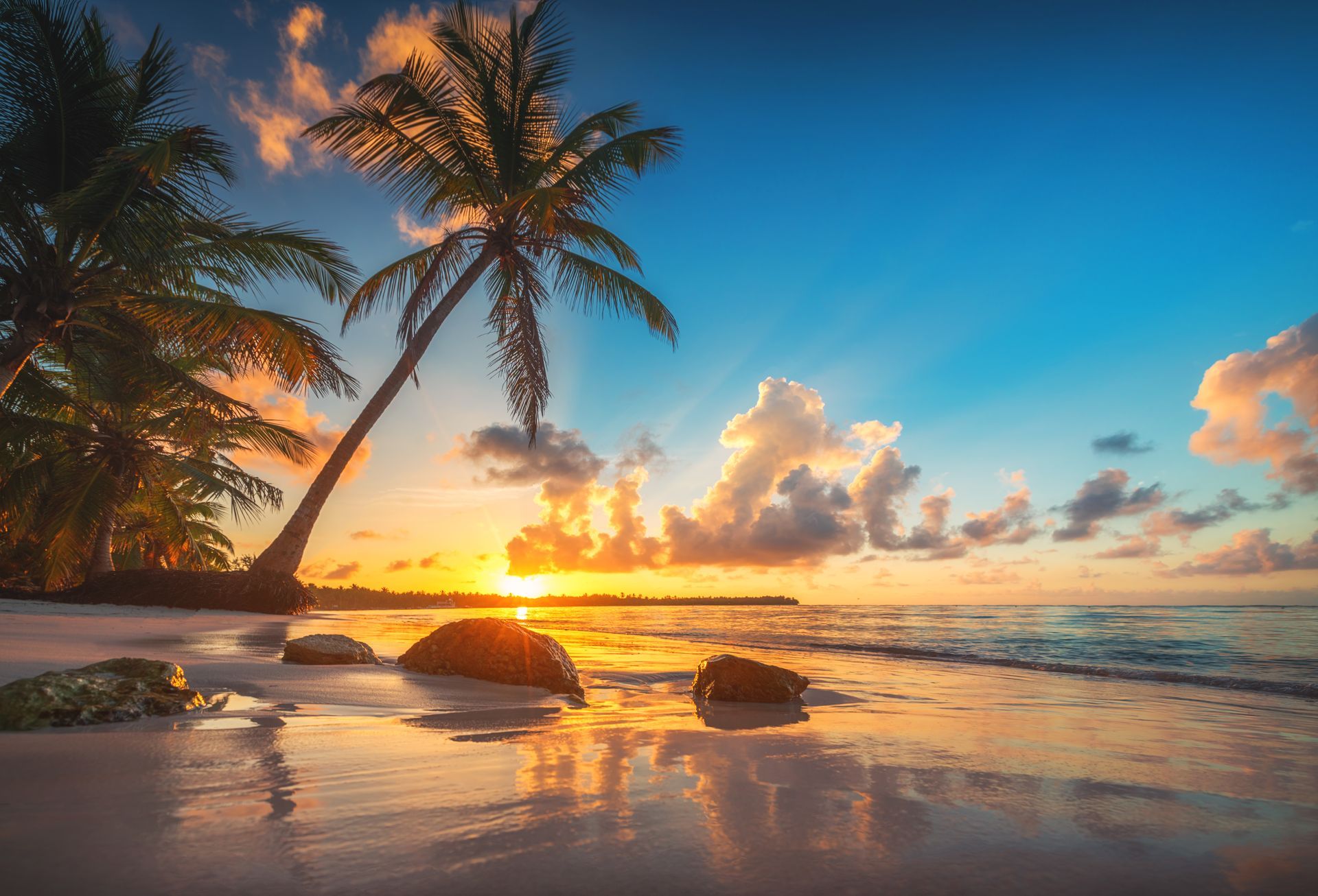 Sunrise over a tropical beach with palm trees, reflecting on the wet sand. Orange, blue and gold hues.