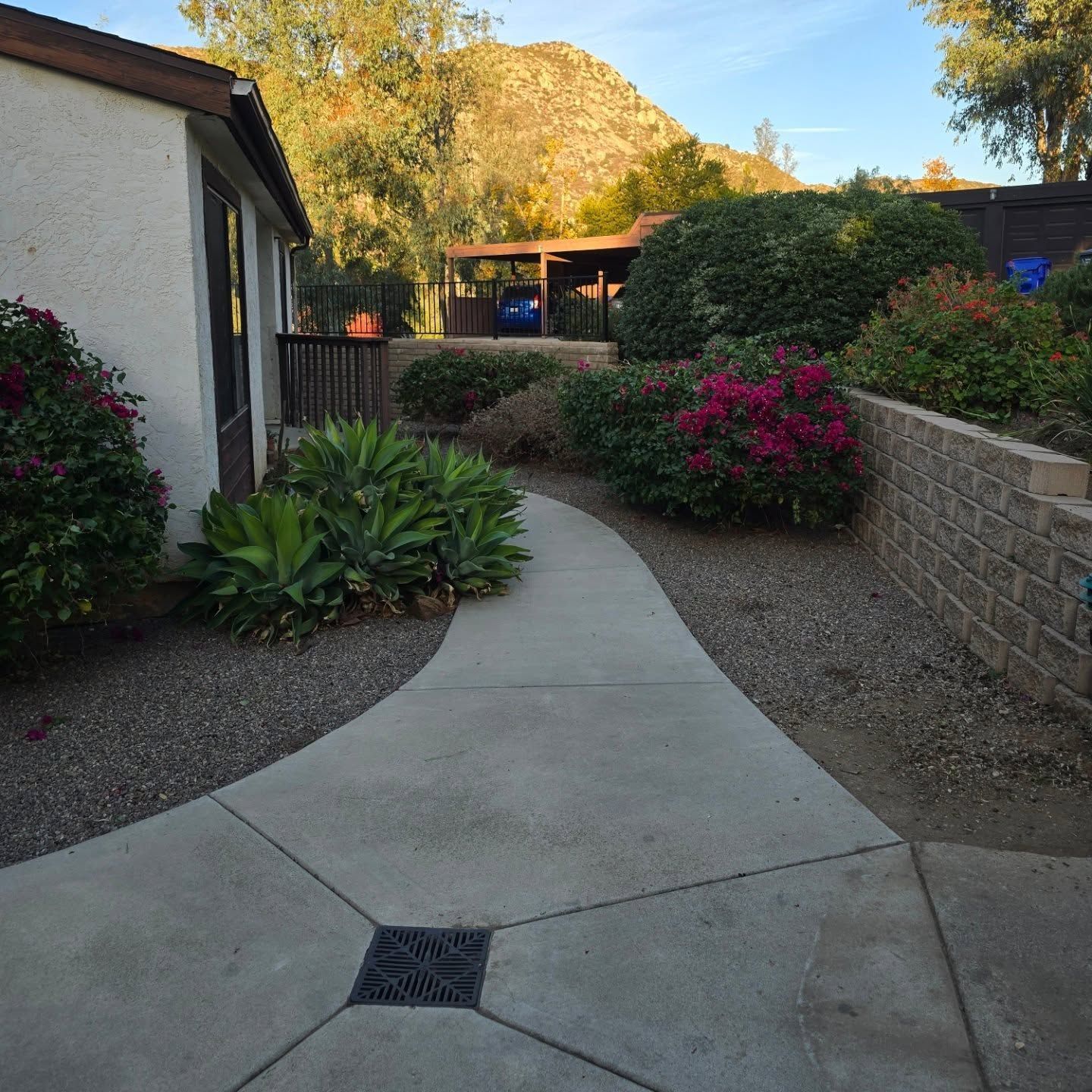 Concrete walkway in a garden with bushes, building, and mountain in the background.