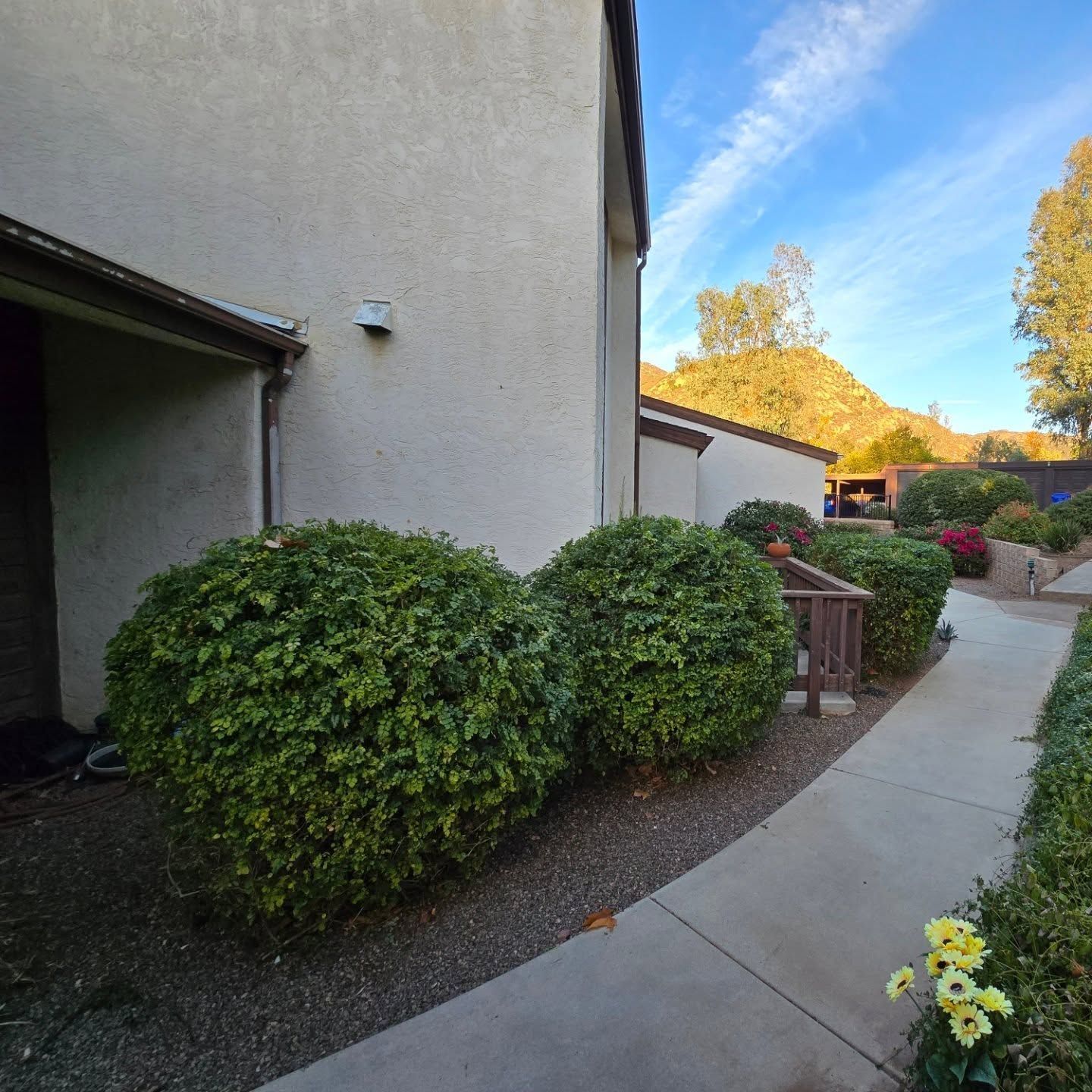 Concrete path curves through a garden with bushes, a building, and a mountain in the background.