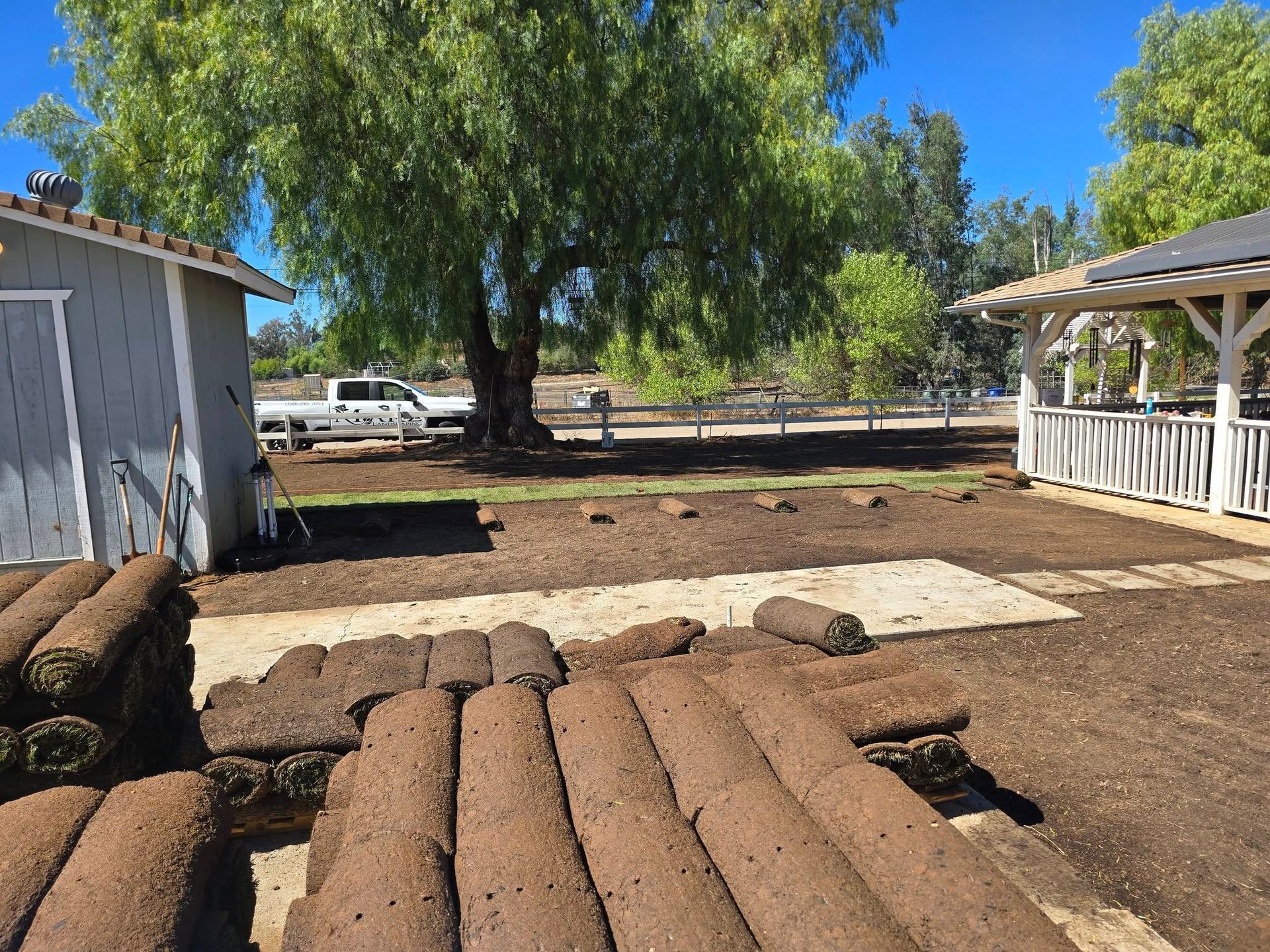 Rows of rolled-up sod on a dirt yard, with a shed, gazebo, and tree in the background under a blue sky.