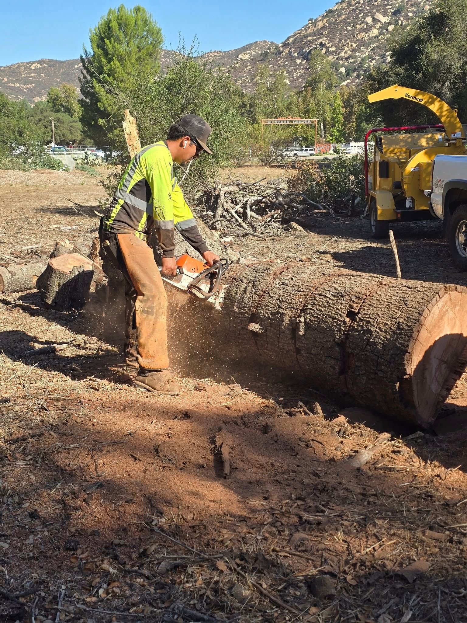 Man cutting a log with a chainsaw. He wears a reflective vest. A wood chipper is in the background.