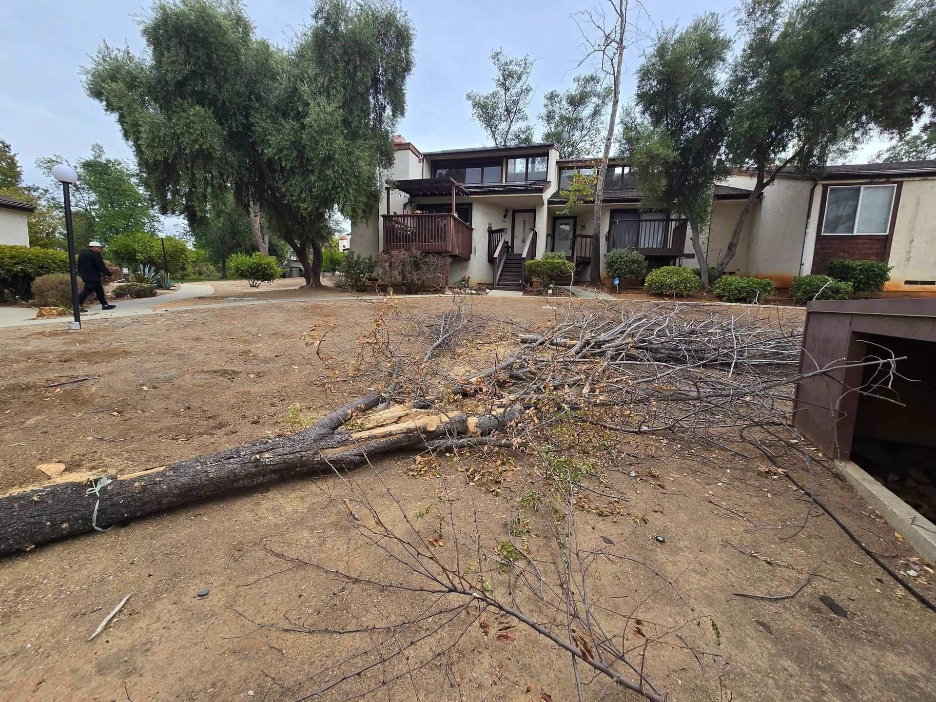 Lawn and square pavers in front yard with parked white trucks and landscaping. Lawn and square pavers in front yard with parked white trucks and landscaping.