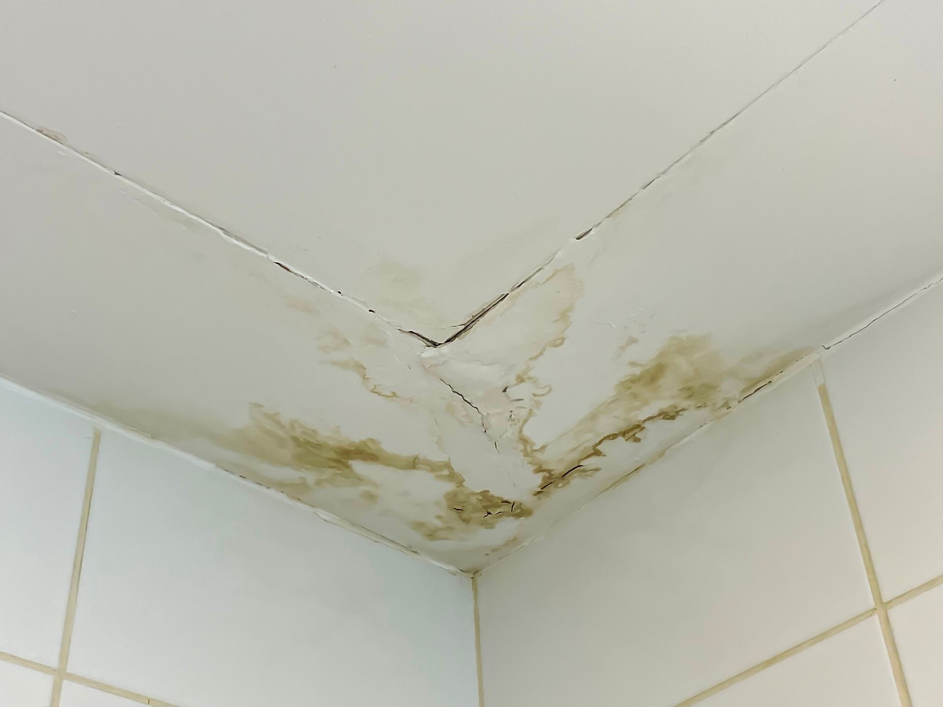 A bathroom ceiling with a lot of mold on it.