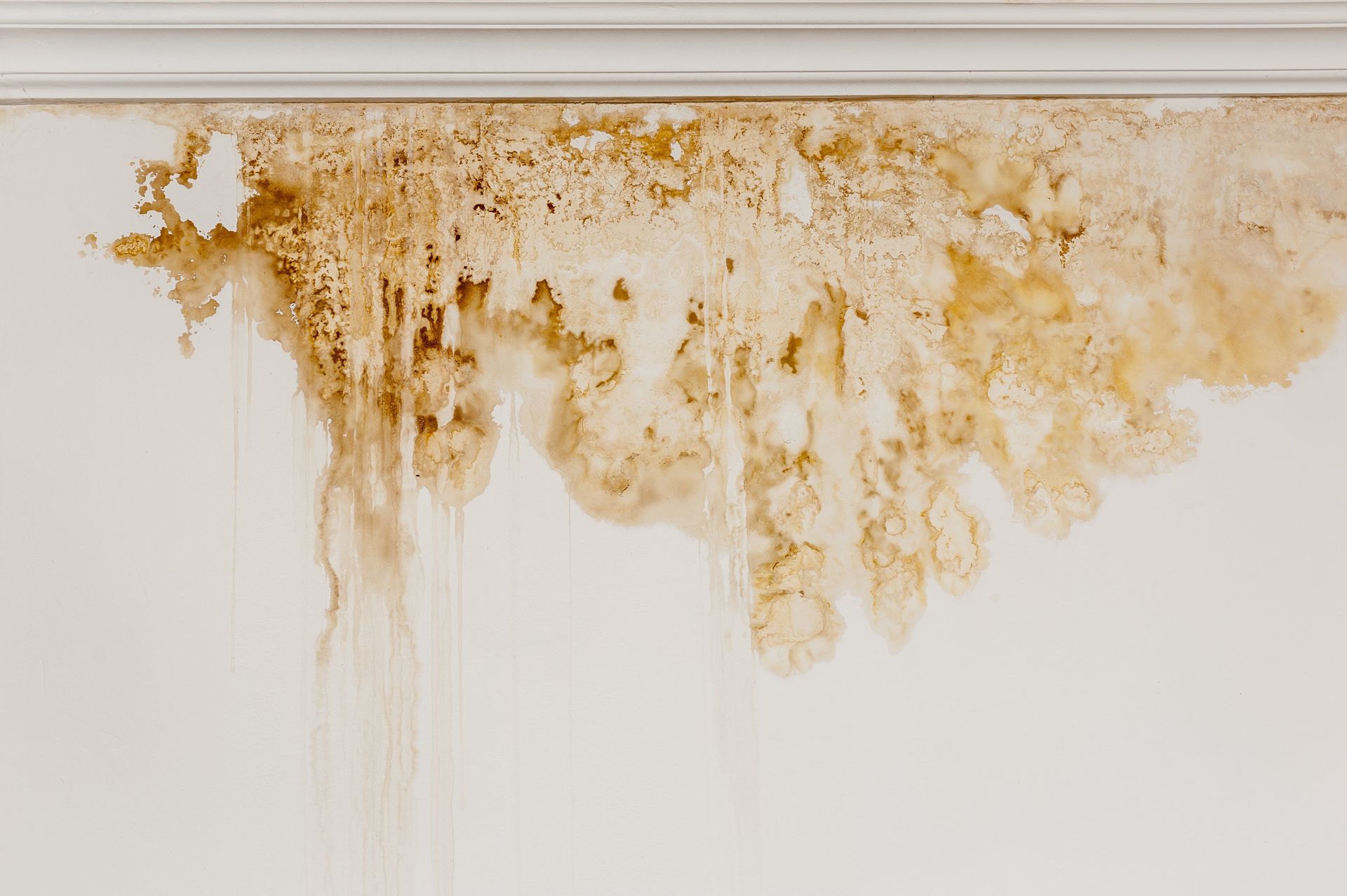 A white wall with brown stains on it.