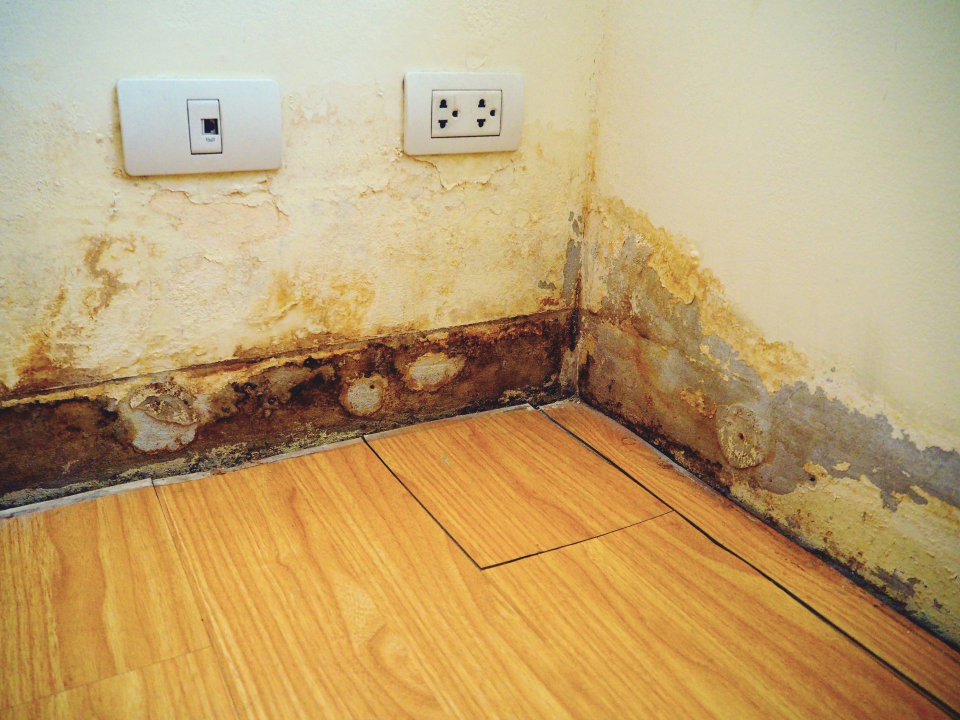 A corner of a room with a wooden floor and a dirty wall.