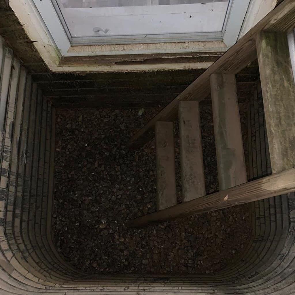 A wooden ladder is leading up to a window in a basement.